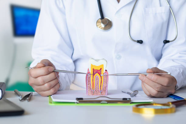 Best Emergency Gum Treatment in Huntingtown, MD